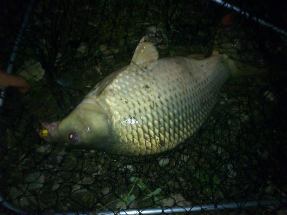 De-a lungul timpului - 13740667529637480625961569370640n.jpg